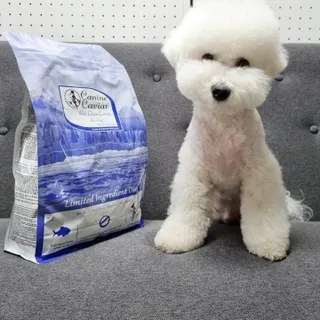 캐닌캐비어 알카라인 홀리스틱 그레이프리 앙뜨레 ALS_4종 오픈스카이, 와일드오션, 프리스피릿, 스페셜니즈 — 5점을 준 리뷰어가 2023년 2월 올린 사용 사진