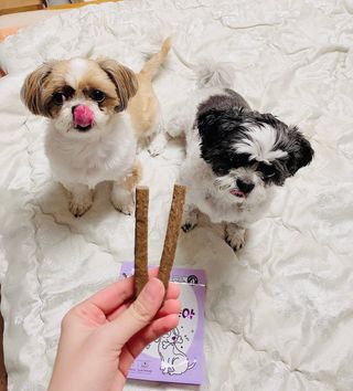 My Pet Care 천연단백질 치아건강에 개좋아 — 5점을 준 리뷰어가 2021년 2월 올린 사용 사진