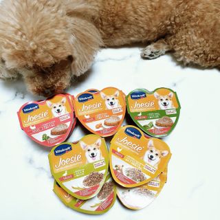 비타크래프트 조에시 하트캔 85g 강아지 습식캔 10캔 — 5점을 준 리뷰어가 2021년 7월 올린 사용 사진
