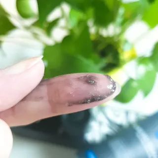 고은아이 릴리🌸님이 올린 리뷰 사진 4