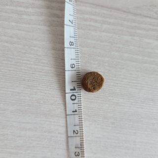 LunaHayes님이 올린 리뷰 사진 4