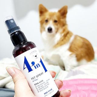 림림님이 올린 리뷰 사진 1