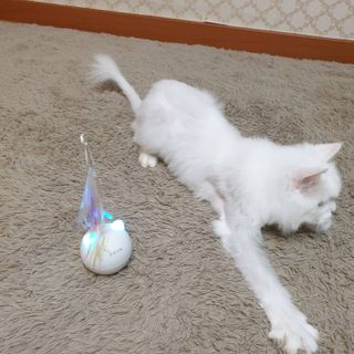 suususu님이 올린 리뷰 사진 1