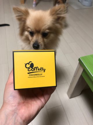 나와링님이 올린 리뷰 사진 1