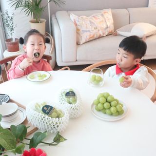 꿀아영님이 올린 리뷰 사진 2