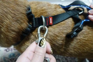 망구님이 올린 리뷰 사진 1