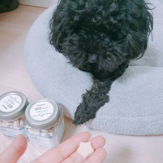 페페로니 자기전에 먹는 저알러지 껌 세트 치킨+오리 — 5점을 준 리뷰어가 2021년 7월 올린 사용 사진