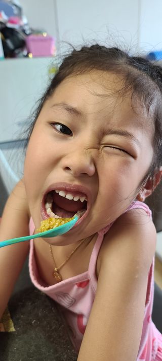 브라잇벨리 식물성 미트볼과 일본식카레의 만남, 플랜트볼 카레라이스 — 5점을 준 리뷰어가 2022년 8월 올린 사용 사진
