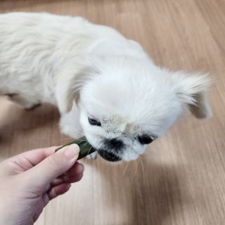 환희님이 올린 리뷰 사진 3