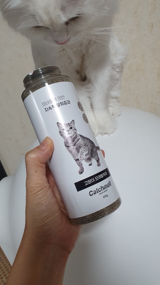 캄자님이 올린 리뷰 사진 3