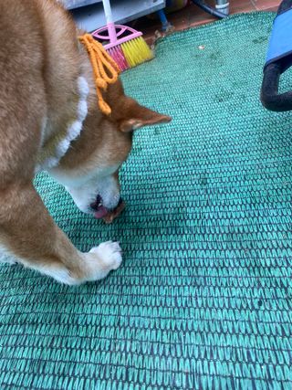 뿌꾸뿌꾸님이 올린 리뷰 사진 2