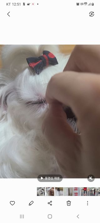 바비엘님이 올린 리뷰 사진 3