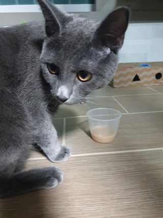 유영경님이 올린 리뷰 사진 3