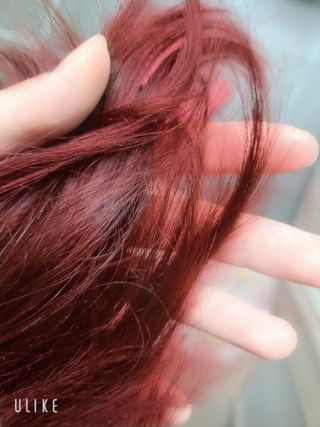 쪼꼬지야님이 올린 리뷰 사진 2