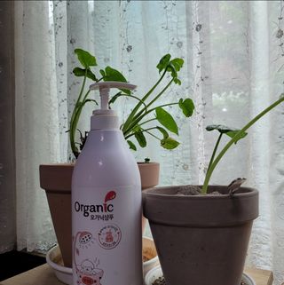 기차님이 올린 리뷰 사진 1