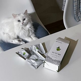 ㄹ진님이 올린 리뷰 사진 1