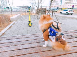 설탕님이 올린 리뷰 사진 1