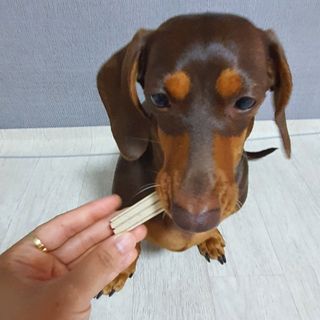 페페로니 클린플러스 덴탈치킨껌 10g x 14p — 4.5점을 준 리뷰어가 2021년 7월 올린 사용 사진