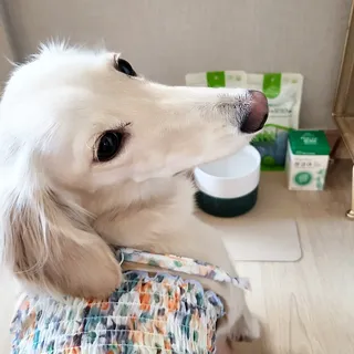 PDKIM님이 올린 리뷰 사진 3
