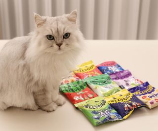sunny님이 올린 리뷰 사진 1