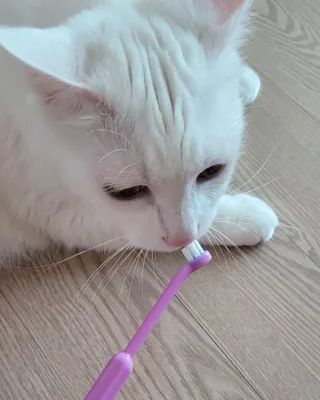 대박이님이 올린 리뷰 사진 1