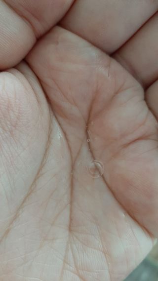 도도맘님이 올린 리뷰 사진 3