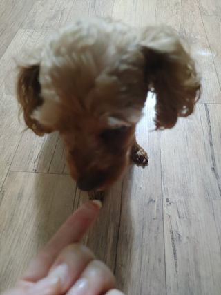 멍순이님이 올린 리뷰 사진 2