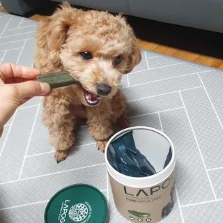 써니곰님이 올린 리뷰 사진 2