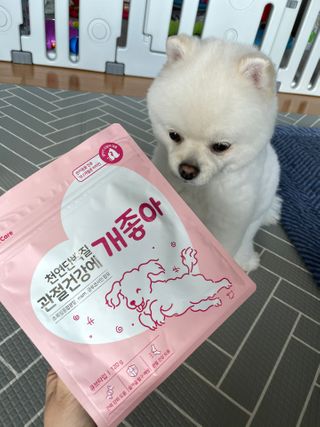 My Pet Care 천연단백질 관절건강에 개좋아 — 4.5점을 준 리뷰어가 2021년 1월 올린 사용 사진