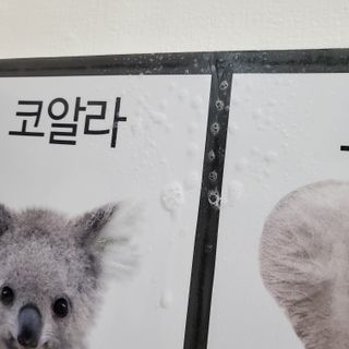 [시카앰플] 묘오한 고마진정할때 진정 스프레이 앰플 150ml — 3점을 준 리뷰어가 2021년 3월 올린 사용 사진