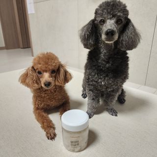 산이네ෆ˙ ᵕ ˙ෆ님이 올린 리뷰 사진 2