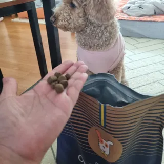 기린짱맘님이 올린 리뷰 사진 4