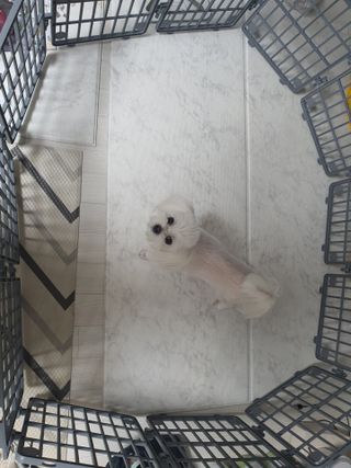 꿈꾸는여자님이 올린 리뷰 사진 2