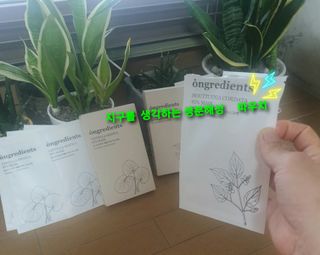 참살이님이 올린 리뷰 사진 3