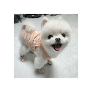 kibomi09님이 올린 리뷰 사진 2