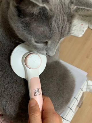 롬님이 올린 리뷰 사진 2