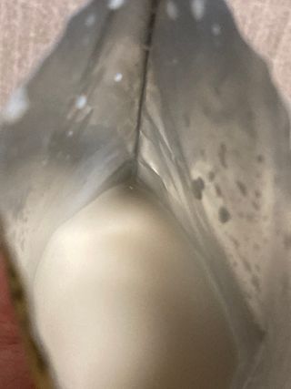 이상한아이디님이 올린 리뷰 사진 3