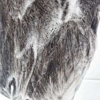 닥터시드 티트리 앤 라임 비건 지성케어 쿨 탈모 샴푸 (1000ml) — 5점을 준 리뷰어가 2023년 12월 올린 사용 사진