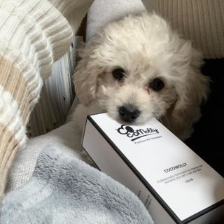 지수님이 올린 리뷰 사진 2