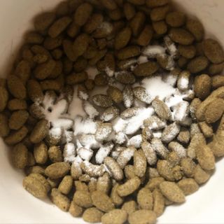 My Pet Care 모발과 모질 피부건강에 개좋아 — 4.5점을 준 리뷰어가 2021년 1월 올린 사용 사진