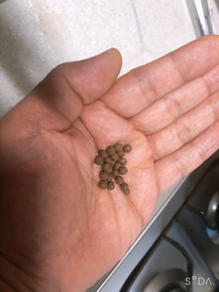 릴라님이 올린 리뷰 사진 3