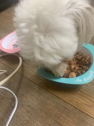 감자왕감자님이 올린 리뷰 사진 3