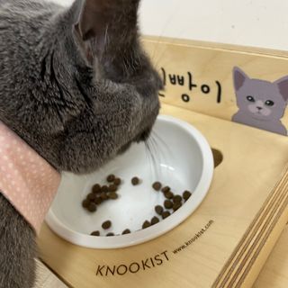 율집사님이 올린 리뷰 사진 3