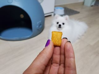ssosso_yab님이 올린 리뷰 사진 1