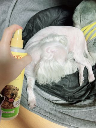 댑빵이님이 올린 리뷰 사진 2