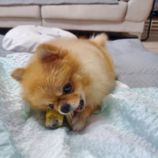 🌷 킴블리 🌷님이 올린 리뷰 사진 1