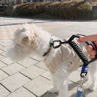 솜솜이2님이 올린 리뷰 사진 4