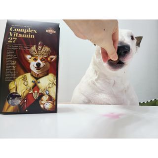 콩콩님이 올린 리뷰 사진 3