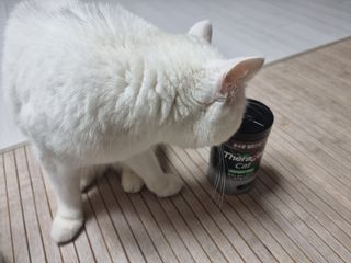 파비올라님이 올린 리뷰 사진 1