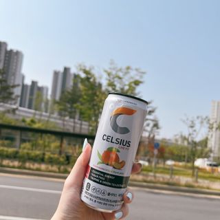 셀시어스 오리지널 325ml 에너지 비타민 피트니스 드링크(24can) 다이어트 음료 — 4.5점을 준 리뷰어가 2022년 5월 올린 사용 사진